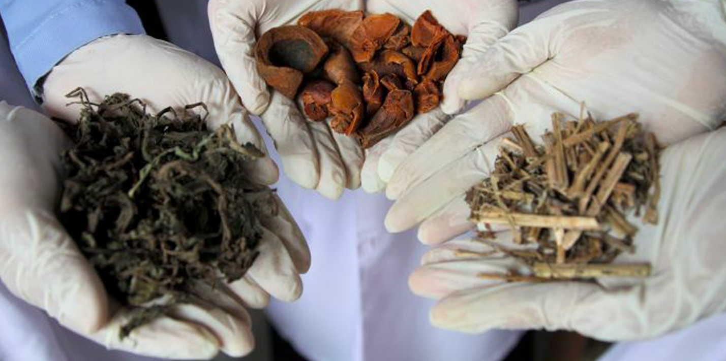 Kenali Obat Tradisional Pelangsing Mengandung Bahan Kimia Obat